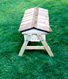 Byers grandson and his new hive.