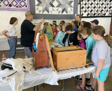 Quizzing 4th graders about honeybees